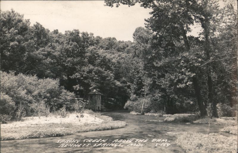 Spring Creek Above The Dam, Bennett Springs, Missouri