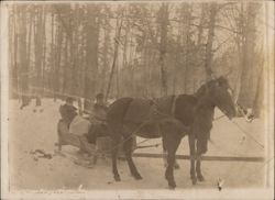 Horse-Drawn Sleigh Ride in Snowy Winter Forest Original Photograph
