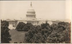 United States Capitol Building Dome View Through Trees Original Photograph