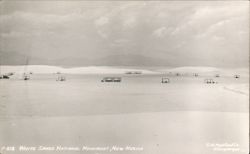 White Sands National Monument Picnic Area Landscape Postcard