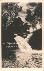Mc Spadden Falls Waterfall Tahlequah Oklahoma Postcard