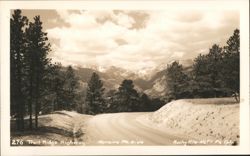 Trail Ridge Highway Moraine Park Side Rocky Mountain NP Postcard