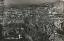 Vista Parcial Nogales Sonora Mexico Panoramic View with Cactus Postcard