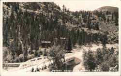 Poudre Bridge to Bennet Creek, Mountain Landscape by Miller Postcard