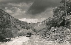 Sabino Canyon Road with Vintage Car & Saguaro Cacti Postcard