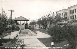 City Park and Morley Avenue Street Scene, Stone Pool Postcard