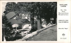 Skyland Lodge, San Bernardino Mountains, Crestline Postcard