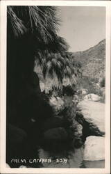 Stock #1170561 Thumbnail