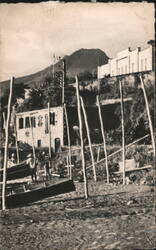 Volcanological Museum and Mount Pelee Postcard