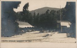 Paraiso Springs Resort Grounds, Monterey County Postcard