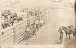 Cowboys at Horse Corral, Ross Wyoming Ranch Scene Postcard