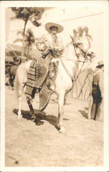 Mexican Charro on White Horse, Elaborate Costume Postcard
