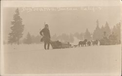 Dog Teams Sledding in Winter Snow, Truckee Postcard