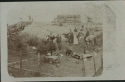 WWI Austrian Soldiers with Rabbit Farm Hasen Hain 1918 Postcard
