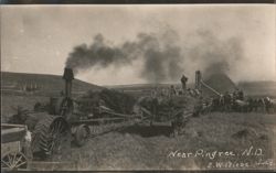 Steam Traction Engine Threshing Crew Near Pingree ND Postcard