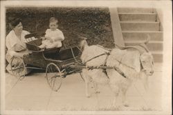 Child Riding in Goat Cart with Woman & Large Horned Goat Postcard