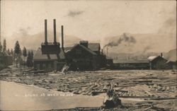 Lumber Mill and Log Pond, Industrial Scene Postcard