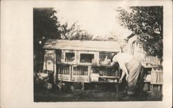 Long John and His Pets, Man Feeding Chickens & Rabbits Postcard
