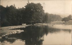 Lake in Lithia Park, Stone Shoreline Postcard