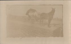 Horse-Drawn Carriage with Four Passengers Postcard
