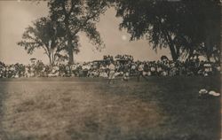 Baseball Game Action, Batter, Catcher, Crowd & Antique Cars Postcard