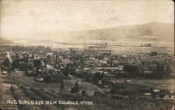 Birds Eye View of Valley Town and Orchard Landscape No 8 Postcard