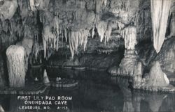 First Lily Pad Room, Onondaga Cave Postcard