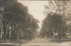 Judson Ave N from Hamilton St, Tree-Lined Residential Street Postcard