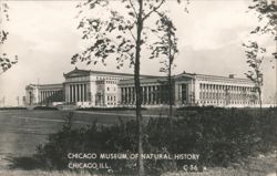 Chicago Museum of Natural History Exterior View Postcard