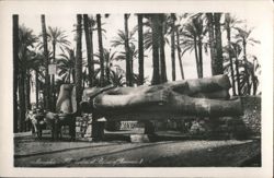 The Colossal Statue of Rameses II Postcard