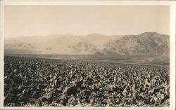 Telescope Peak from Devils Golf Course, Death Valley Postcard