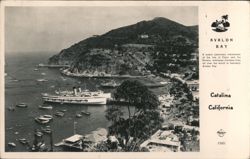 Avalon Bay Harbor Panorama Steamship Catalina Island Postcard