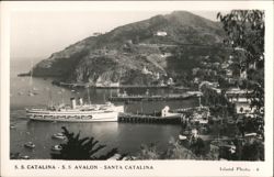 S.S. Catalina Steamship Docked in Harbor, Santa Catalina Postcard