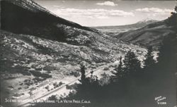 Scene Near Muleshoe Lodge, La Veta Pass, Colorado Postcard
