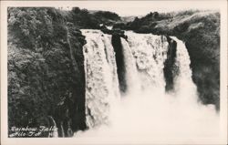 Rainbow Falls Waterfall Hilo Hawaii Territory N-9 Postcard