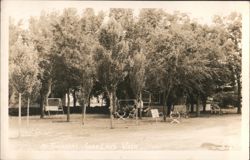 Thorsons Resort Grove with Swings and Trees Postcard