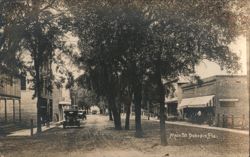 Main Street Scene, Oak Trees & Vintage Cars, Dunedin FL Postcard