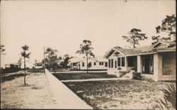 President Street Looking Toward Bay, Dunedin, Florida Postcard