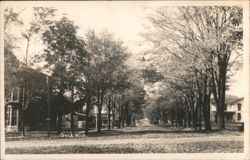 Tree-Lined Residential Street Scene Ovid Michigan Postcard