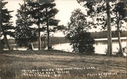 Driveway Along Shore of Meta Lake, Tilden Bro's Resort Postcard