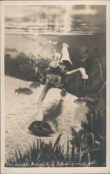 The Nymph's Retreat Silver Springs Run Underwater Swimmer Postcard