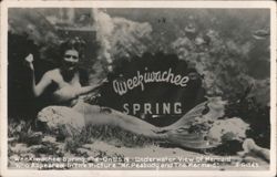 Weekiwachee Spring Mermaid, Mr. Peabody and The Mermaid Postcard