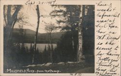 Millsfield Pond from the Camp Landscape View 1907 Postcard
