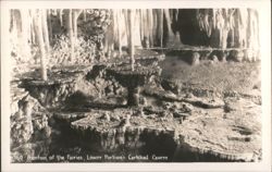 Fountain of the Fairies, Lower Portion, Carlsbad Cavern Postcard