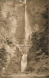 Multnomah Falls 620 Ft High Columbia River Highway Oregon Postcard