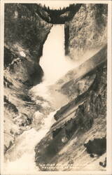 Lower Falls Yellowstone Park Waterfall Scenic View Postcard