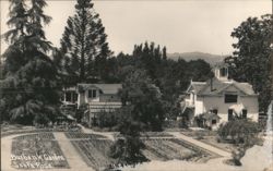 Burbank Garden and Home, Santa Rosa Postcard
