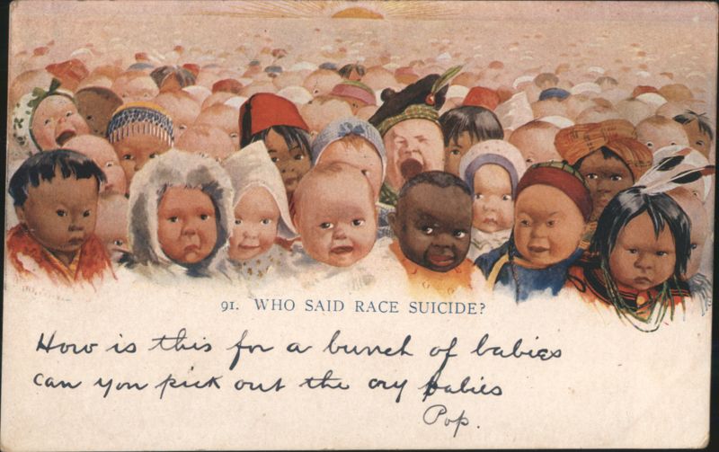 Diverse Babies Crowd with 'Who Said Race Suicide?' Message