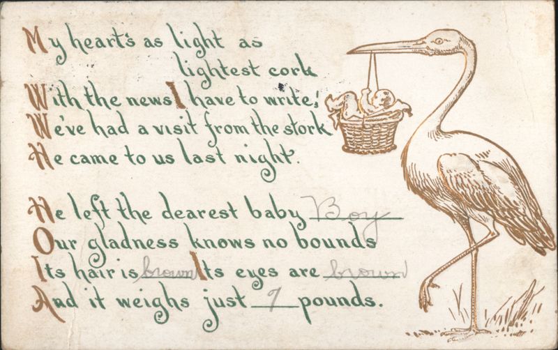 Stork Delivering Baby Boy Birth Announcement Poem, Brown Hair & Eyes, 7 Pounds