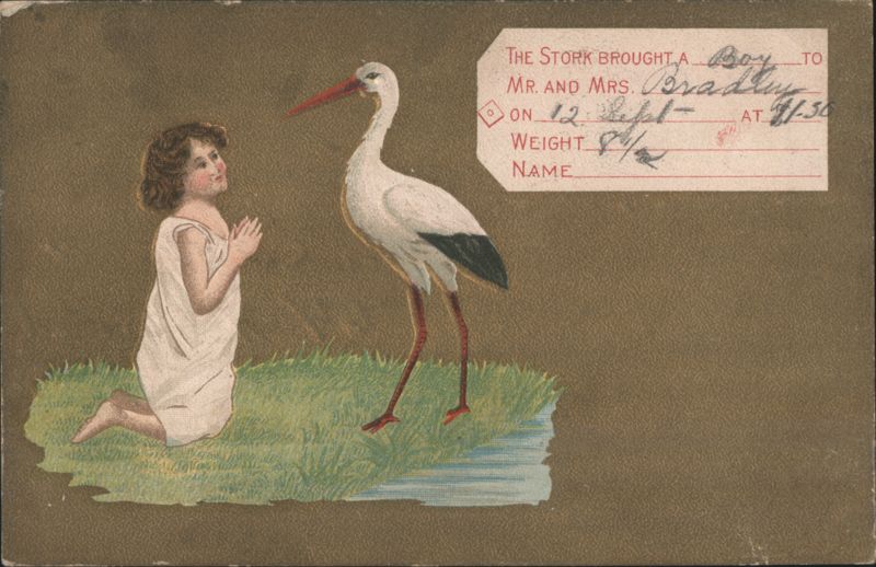 Stork brought a boy to Mr. and Mrs. Bradley, girl praying, birth announcement